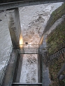 bild (11)